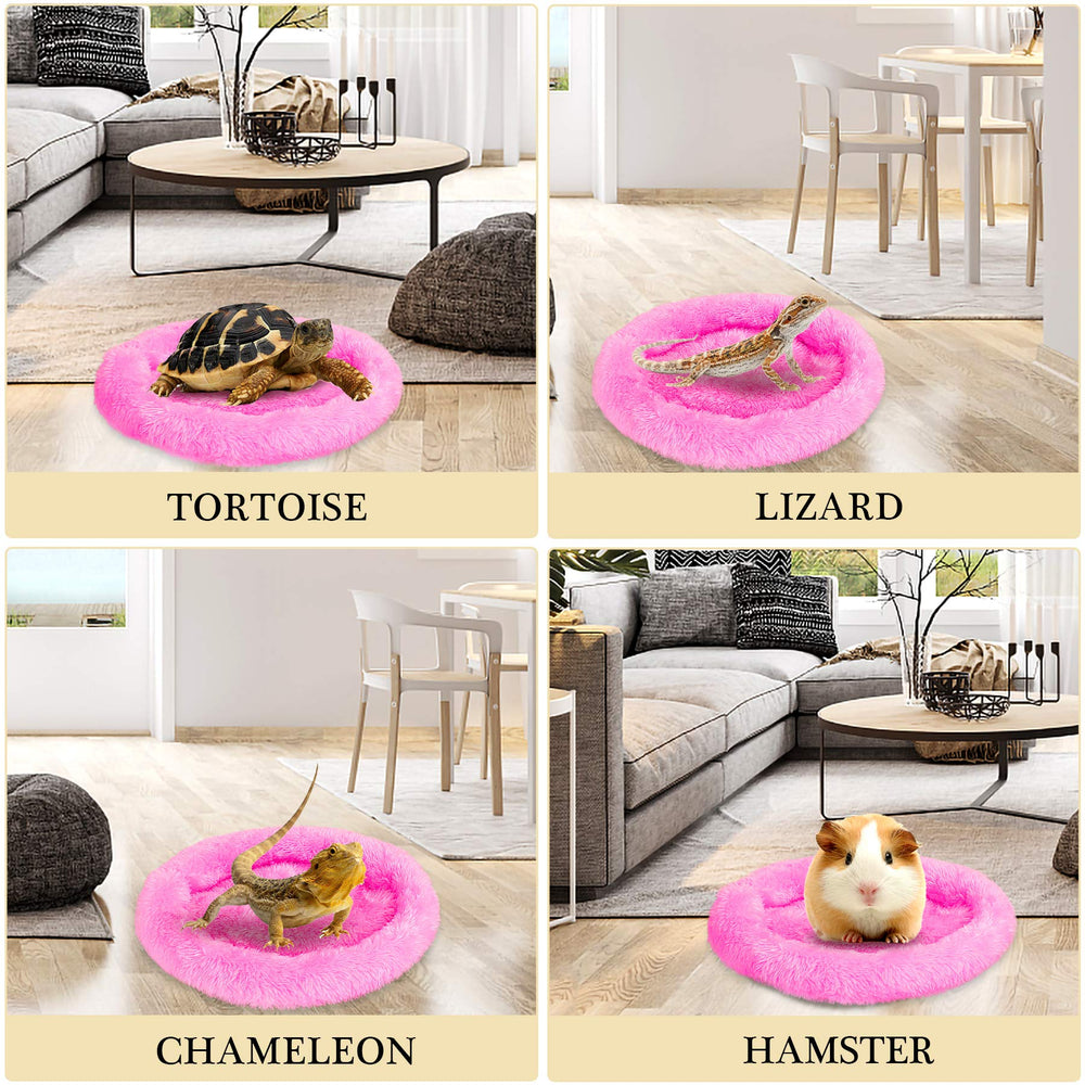 FEBSNOW cama multi-especies para animales pequeños, apta para erizo, ardilla o tortuga.
