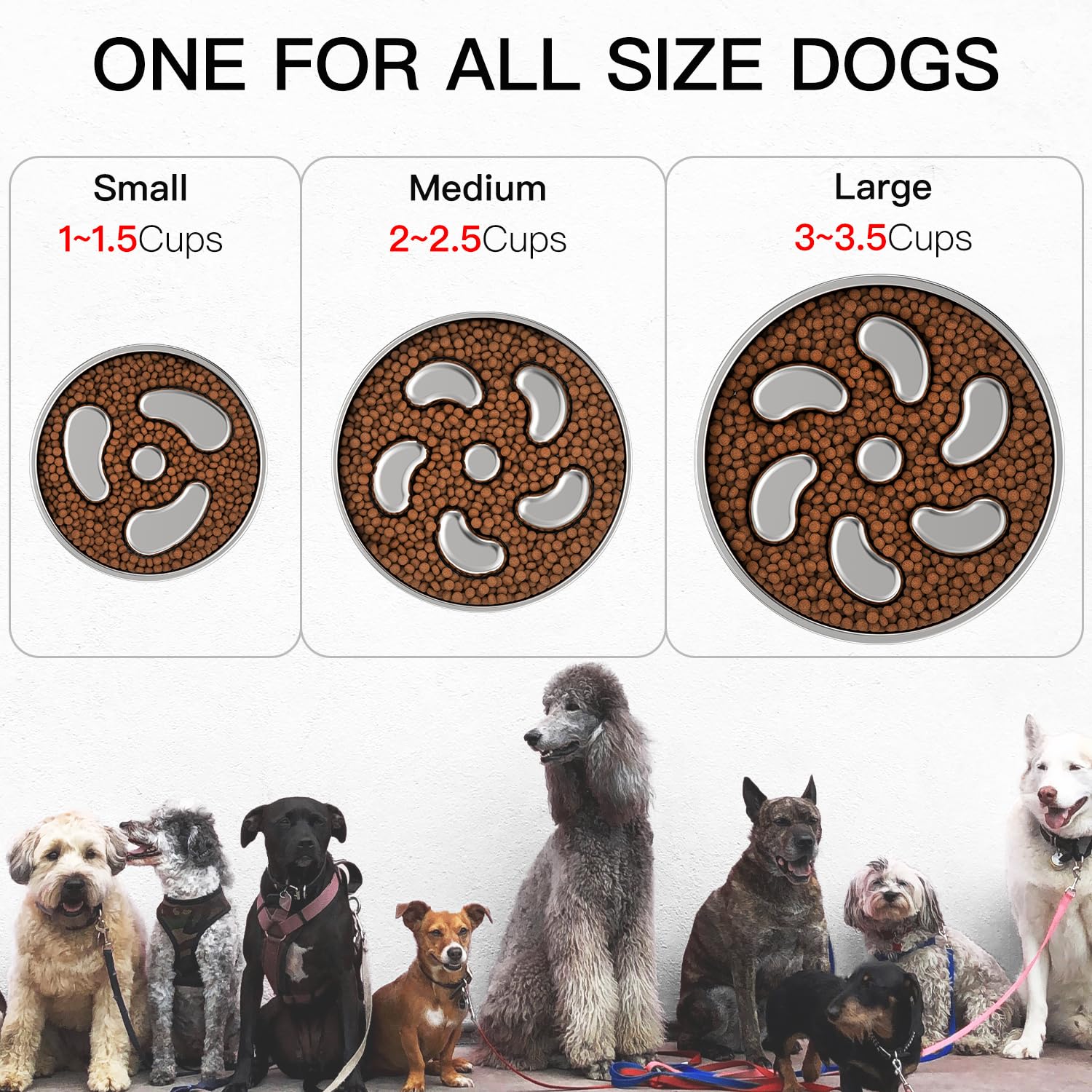 Feedoo tazón acero inoxidable seguro para comida de perros