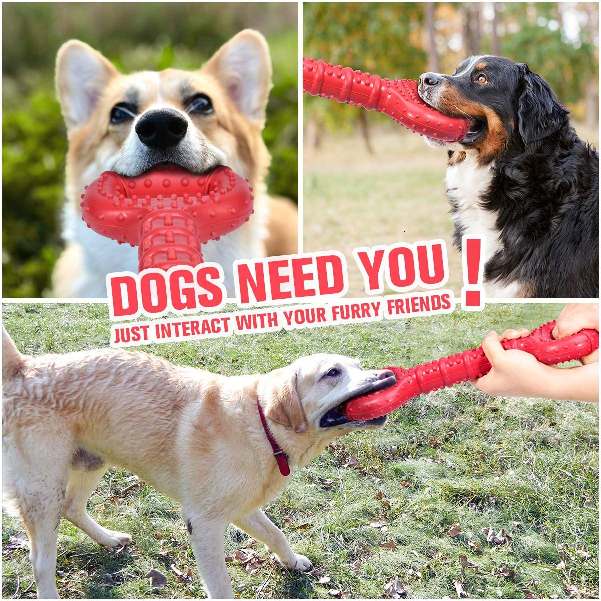 Regalo ideal Feeko para cumpleaños o adopciones de perros grandes