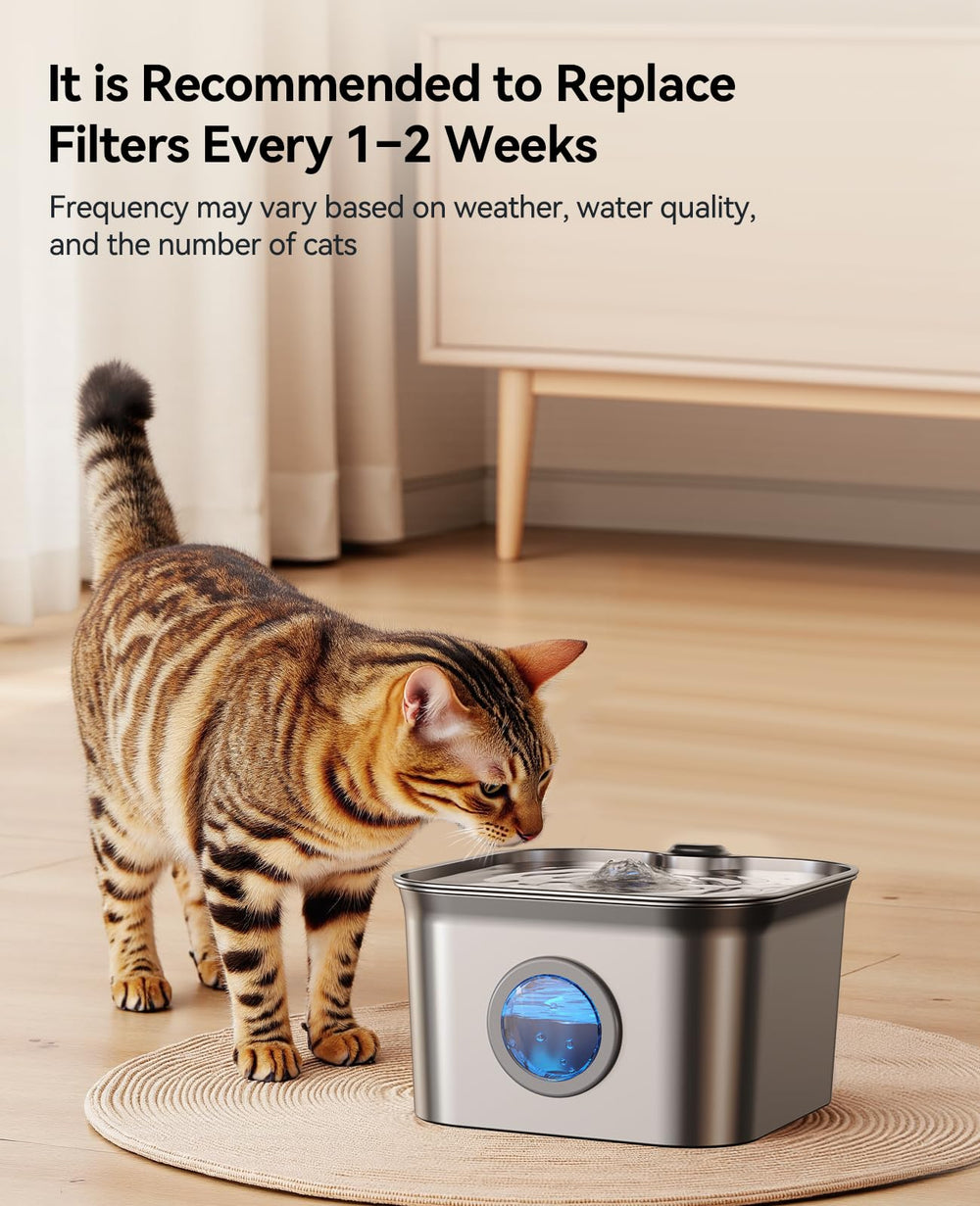 FEELNEEDY FN-W22 paquete con filtros, solución práctica para mantenimiento