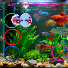 Fejapa pelotas interactivas para betta, juego activo