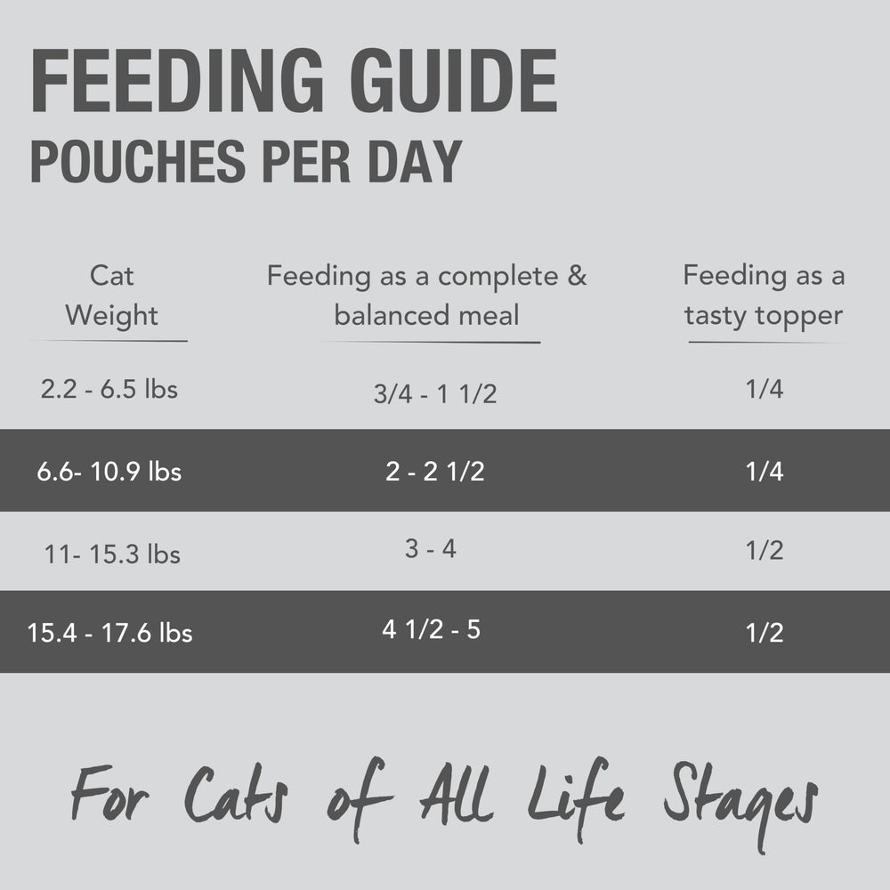 Feline Natural pate-gato servir en plato, presentación atractiva para alimentación diaria.