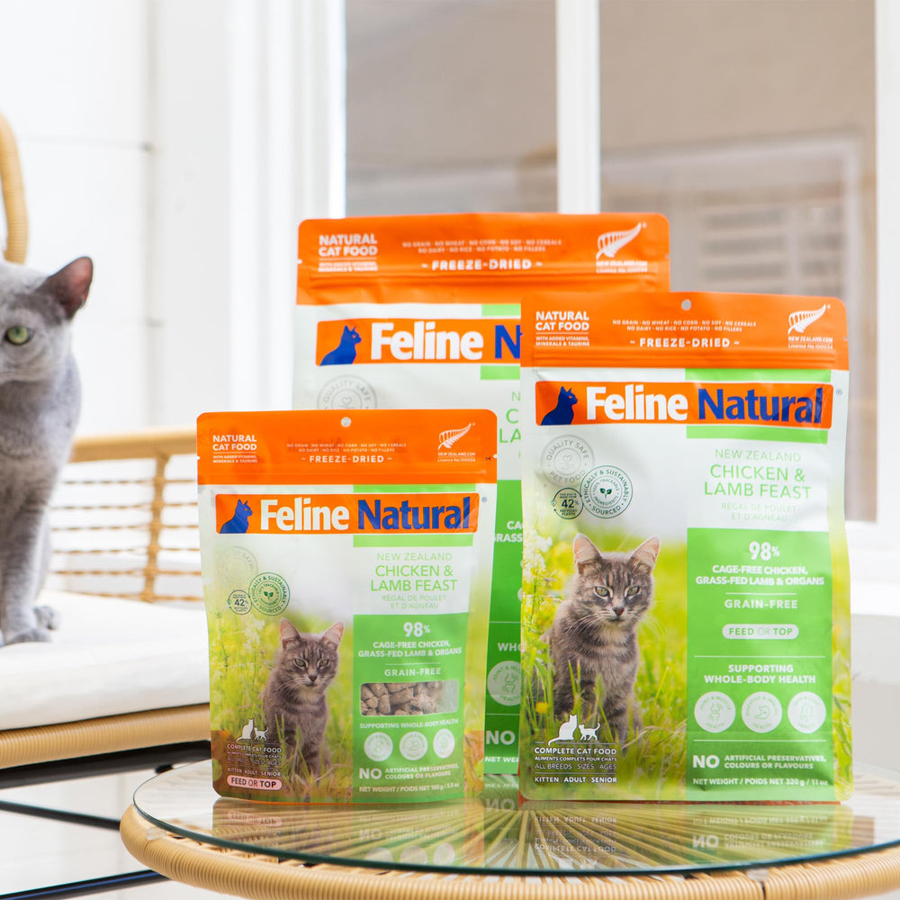 Porción de 3,5 oz para raciones diarias de gatos