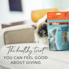 Proteína de Nueva Zelanda Feline Natural para nutrición simple