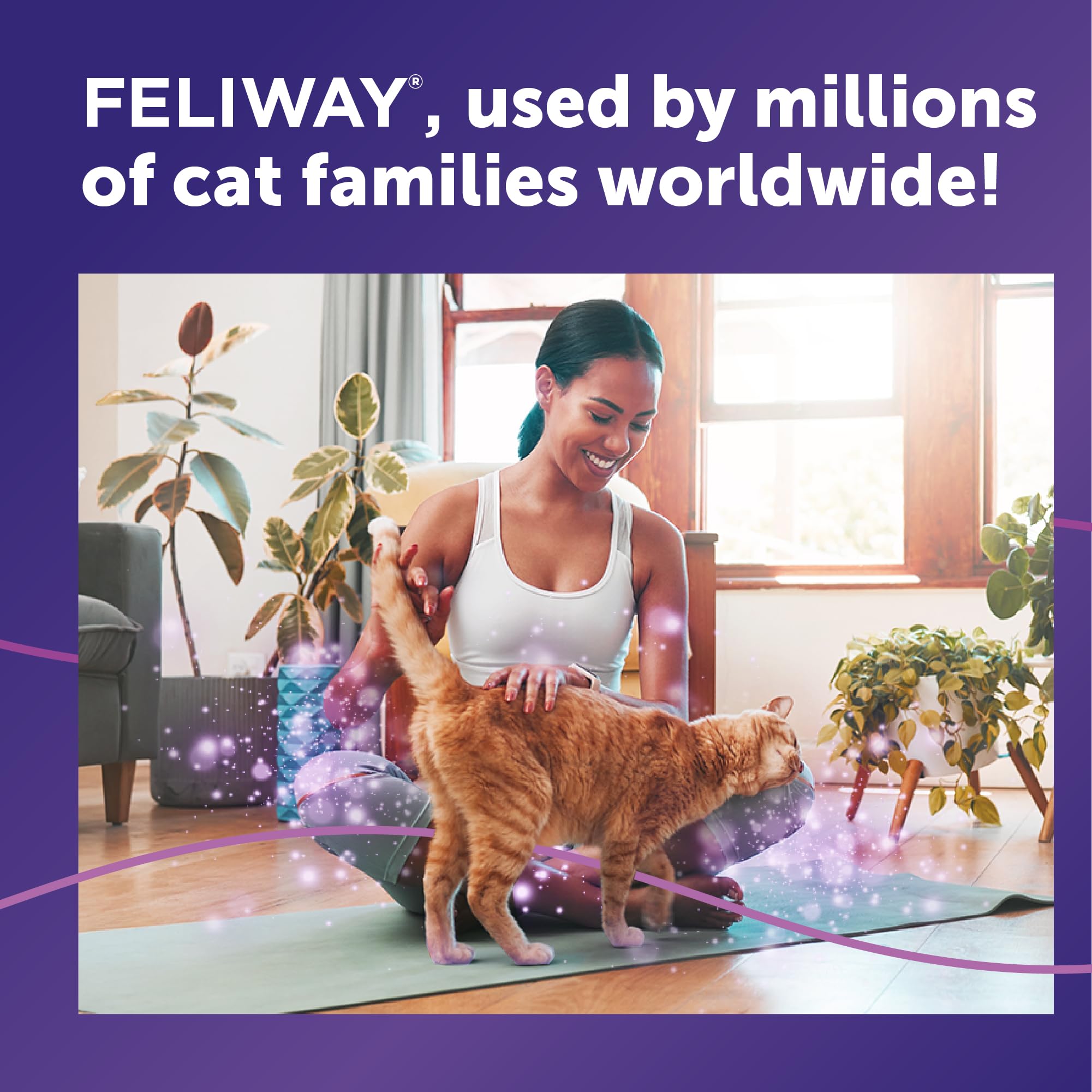 Recambios FELIWAY Classic 48 ml, recomendado por veterinarios para bienestar felino