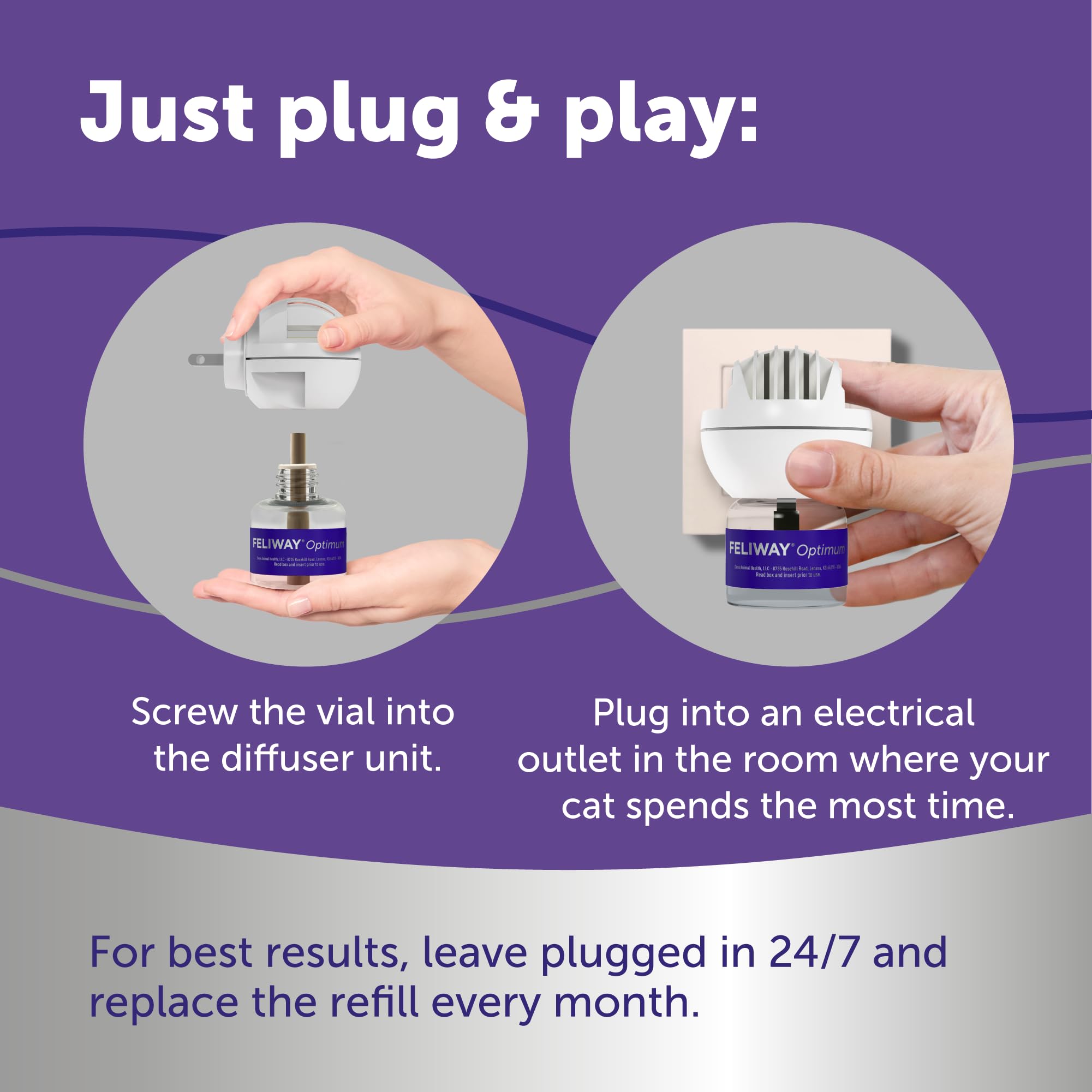 Calma diaria de gatos con FELIWAY Optimum en casa