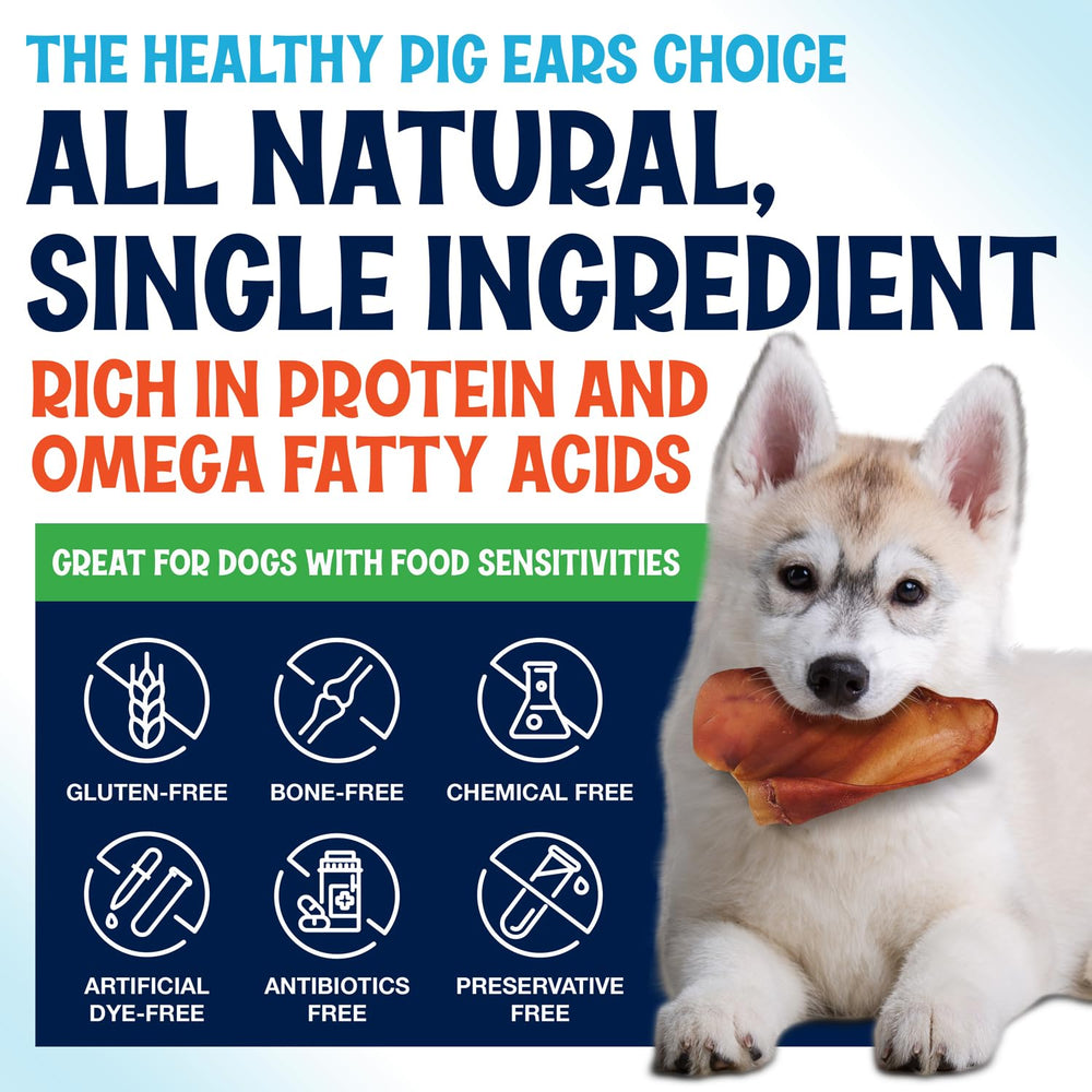 Fetcheroni orejas de puerco grandes: snack diario para perros grandes con gusto natural