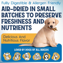 Fetcheron i salud dental con patitas de pato, masticación saludable para perros.