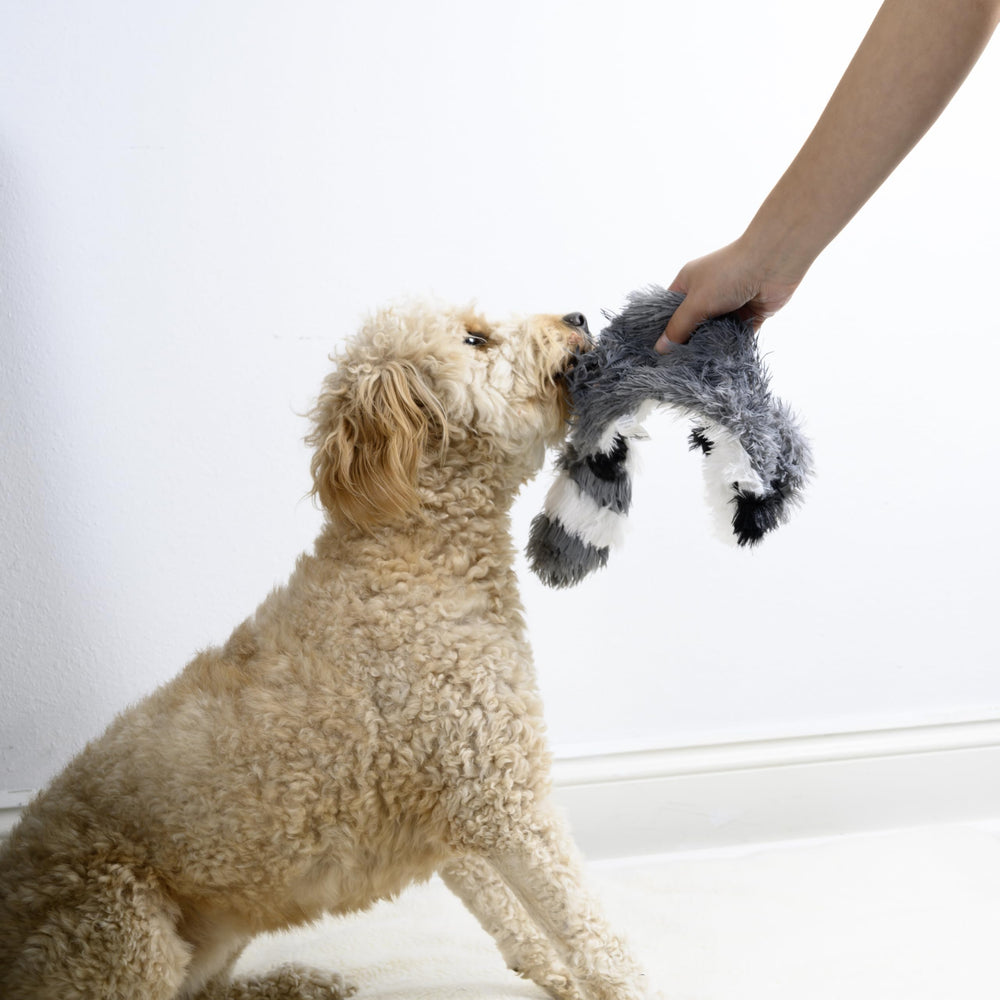 Peluche lavable a máquina de FGA MARKETPLACE, limpieza sencilla