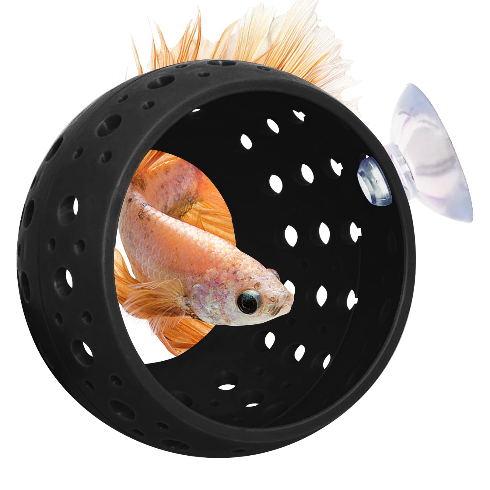 Tunel Betta de Fhiny con sujeción fuerte para acuario