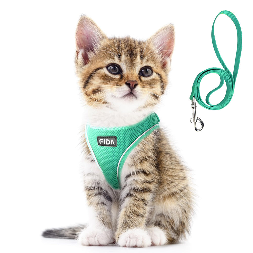 Gato con arnés Fida verde XXS en uso para paseo cómodo y seguro.