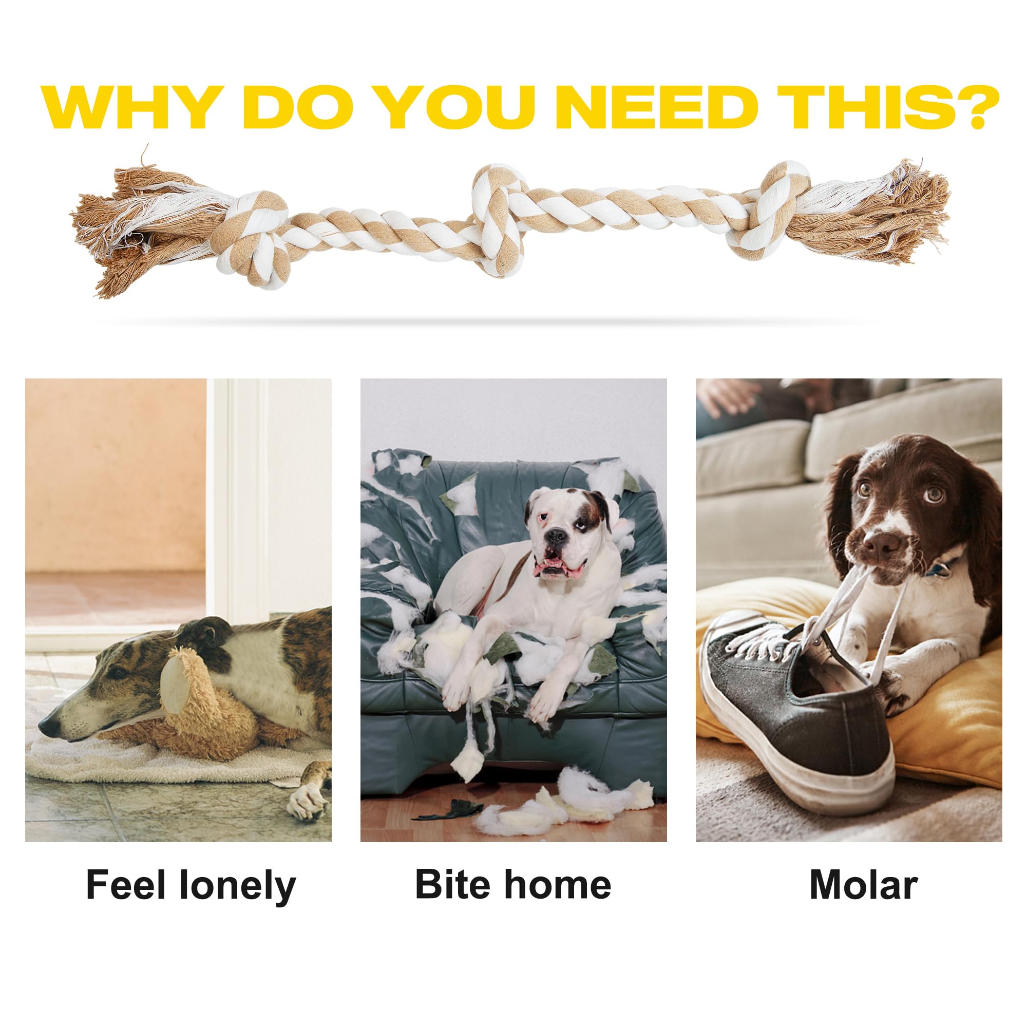 Diversión interior y exterior con cuerda Fida para perros grandes
