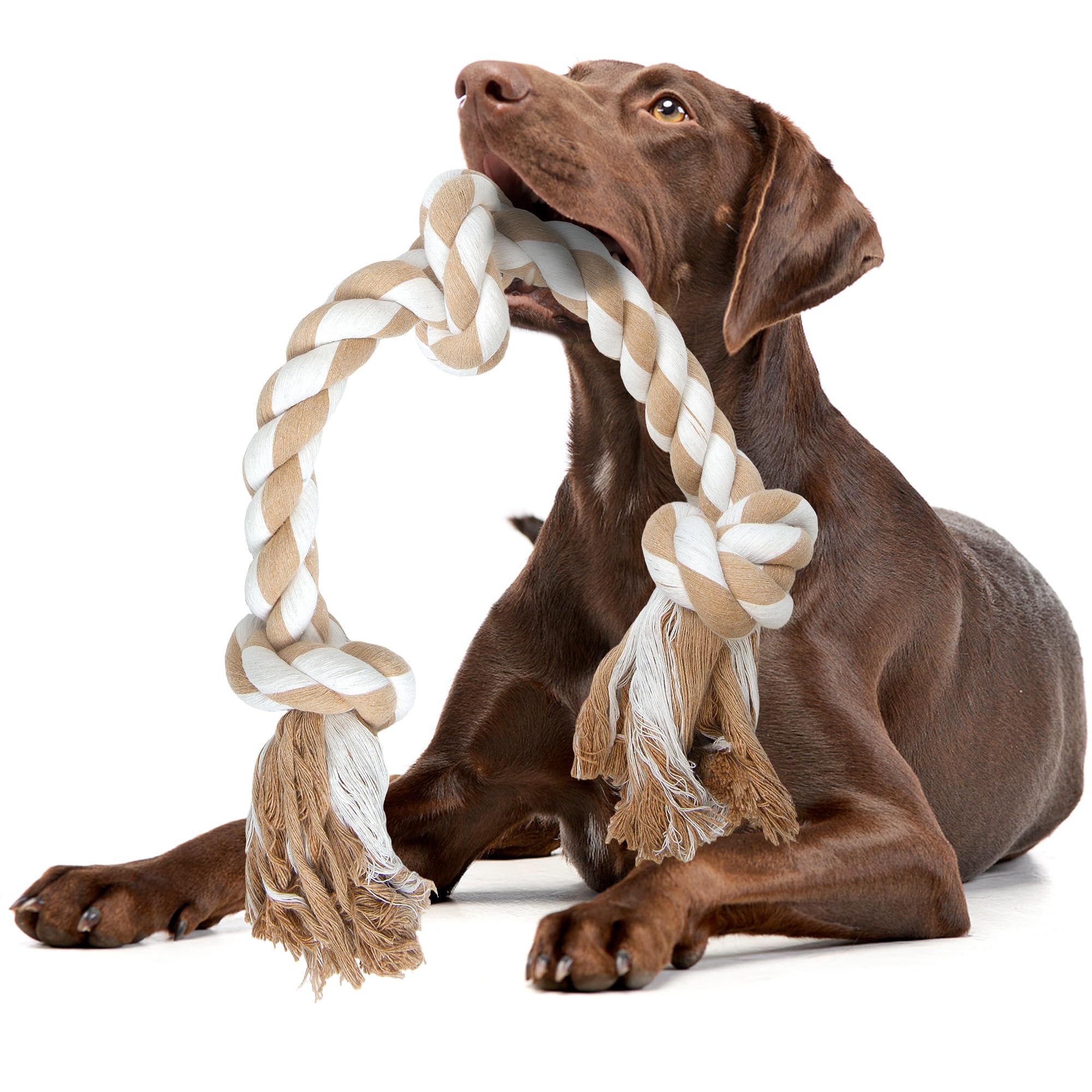 Juguete de cuerda Fida para perro grande, mordisqueo seguro