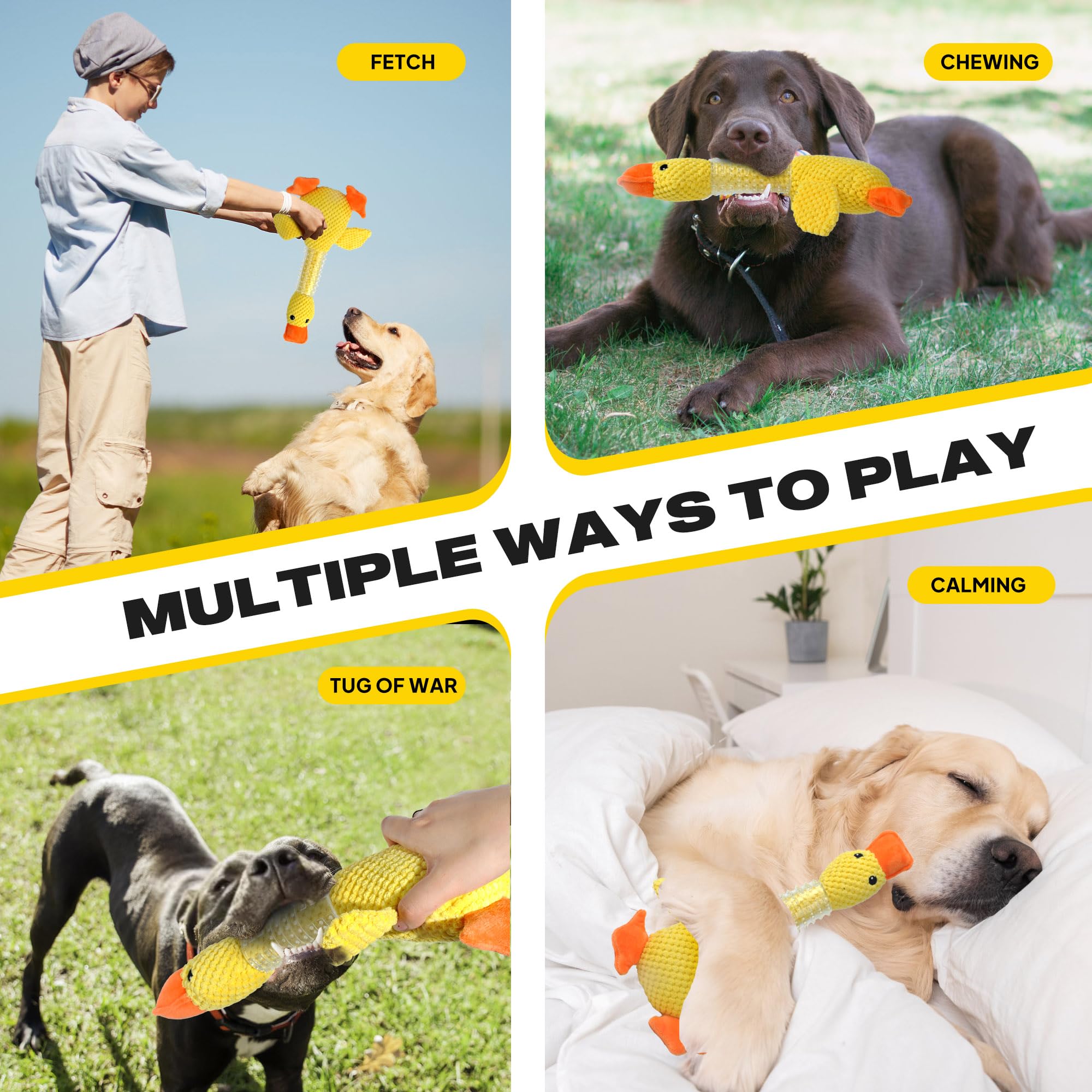 Juguete interactivo Fida para juegos y vínculo con tu perro