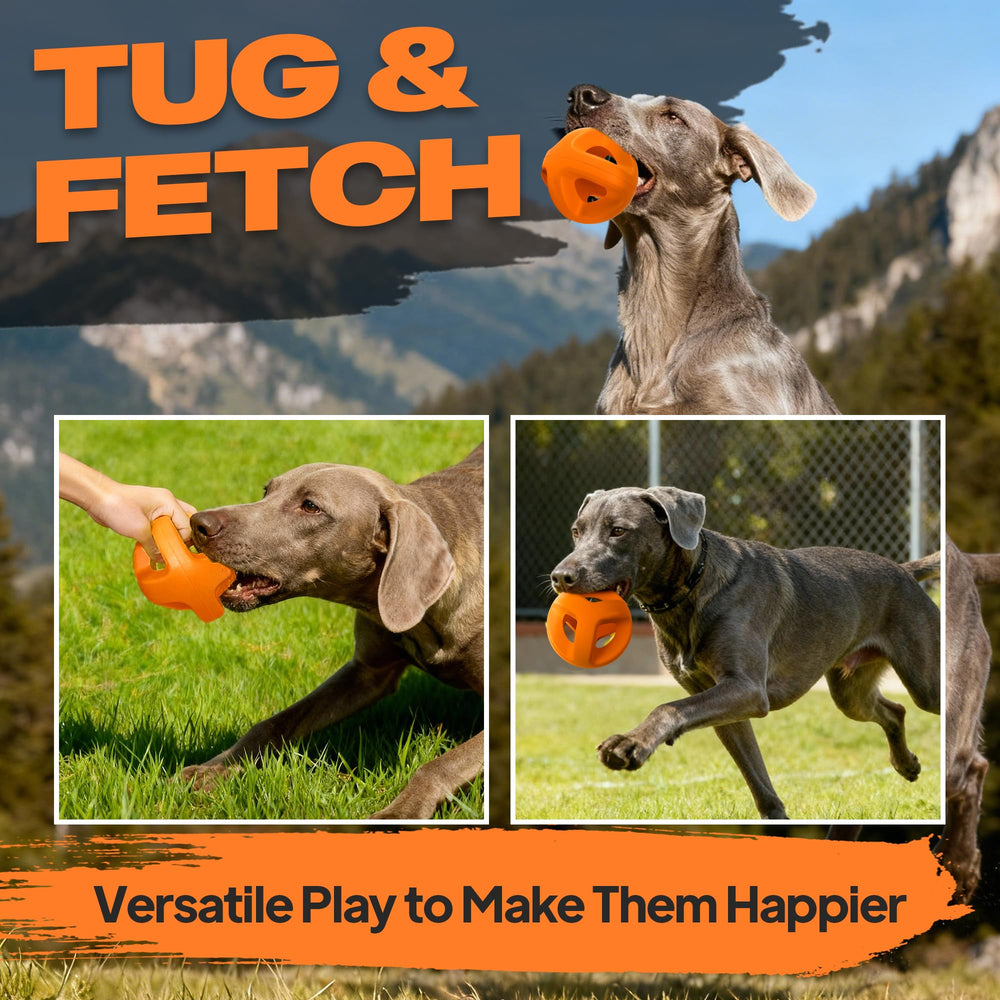 La pelota grande Fida ofrece rebotes dinámicos para sesiones de fetch prolongadas.