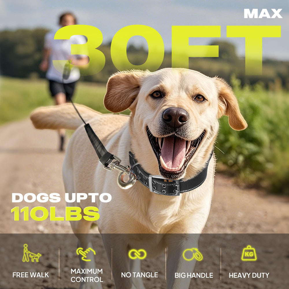 Uso exterior de Fida en paseos y caminatas con perros grandes.