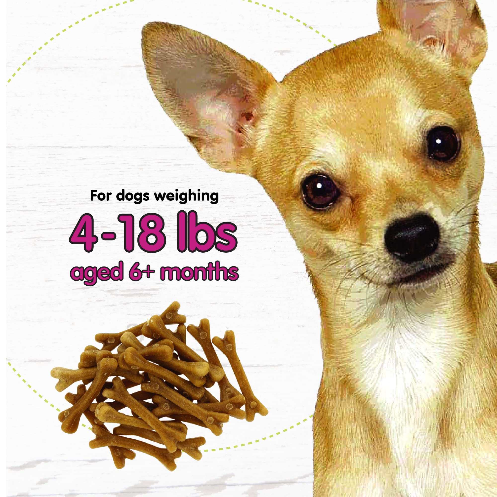 Fido Belly Bones mini ayuda a mantener el aliento fresco cuando se usa a diario