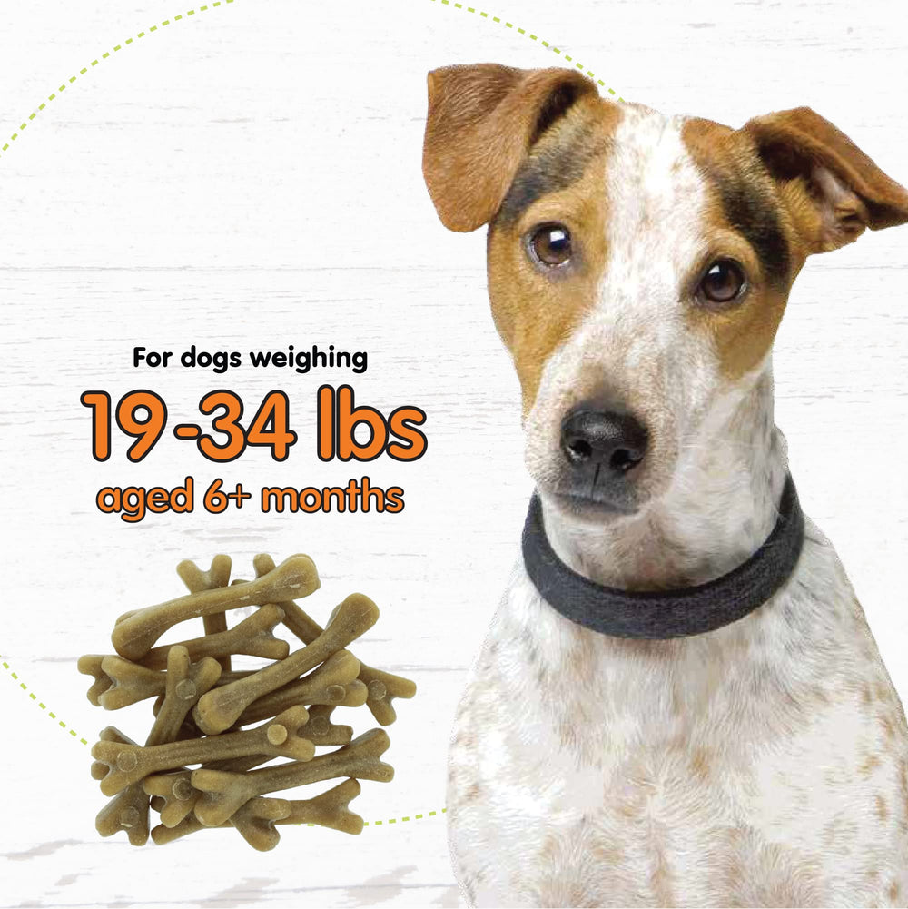 Fido ingredientes naturales como algas y perejil para sabor