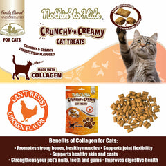 Fieldcrest Farms Nothin’ to Hide – ingredientes simples, sin trigo ni soja, snack saludable.