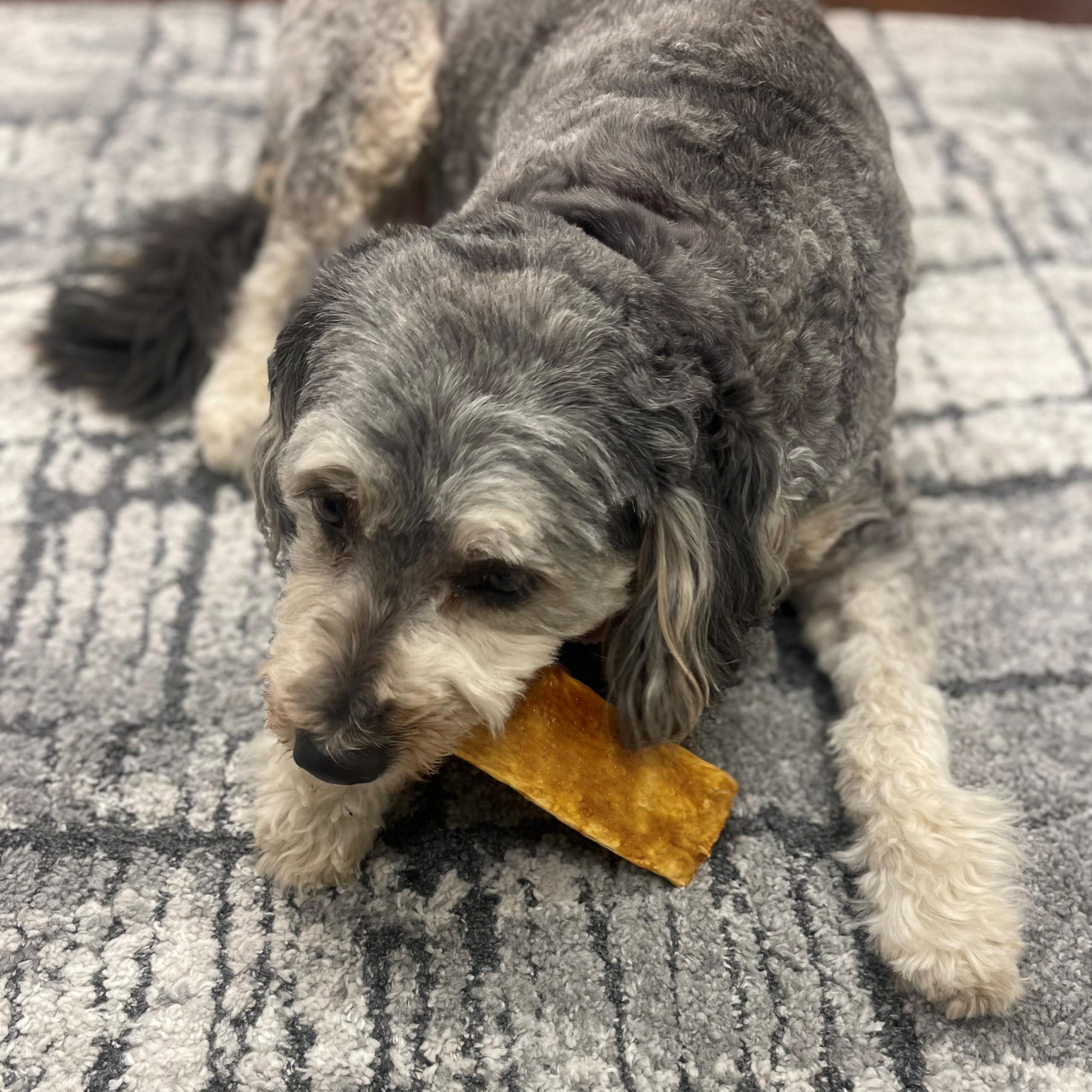 Fieldcrest Farms Nothin' to Hide Flip Chips snack de colágeno para perros.