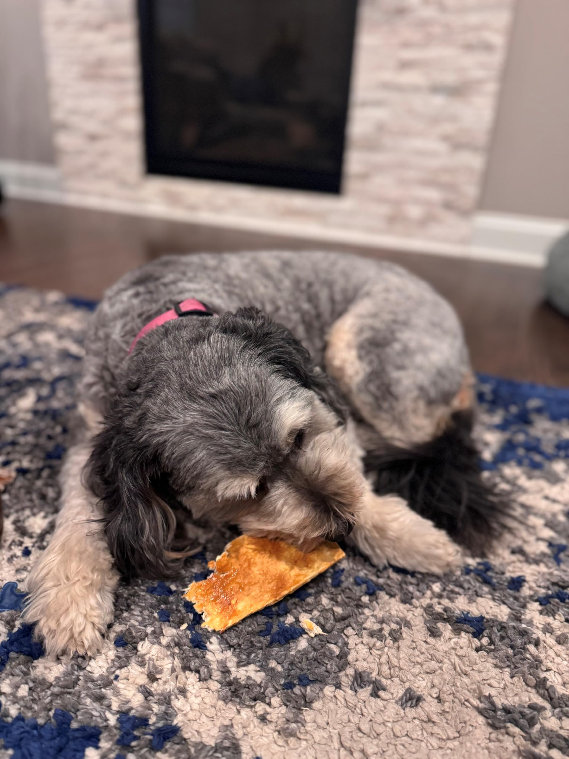Fieldcrest Farms Nothin to Hide Flip Chips uso diario para perros pequeños