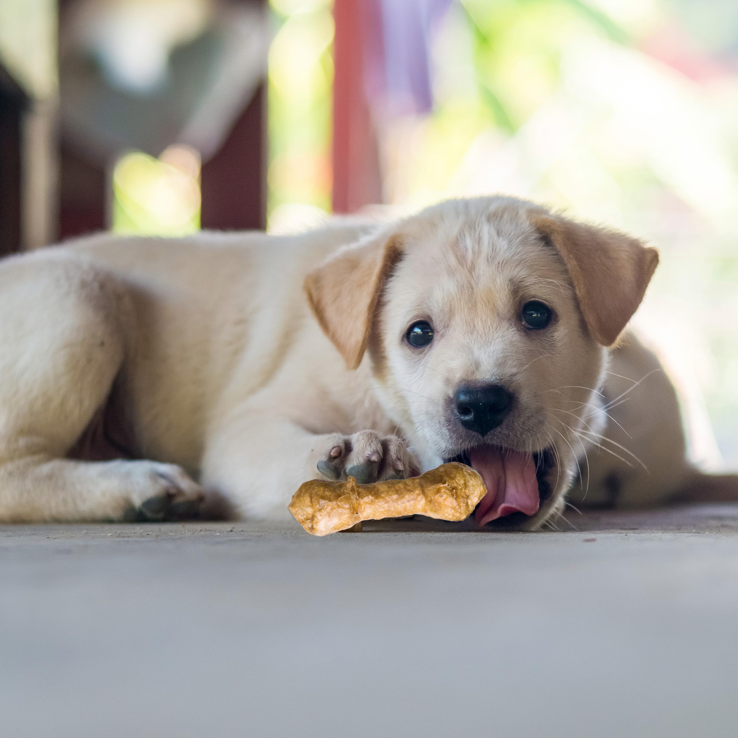 Fieldcrest Farms Nothin' to Hide sabor pollo estimula el paladar de tu perro.