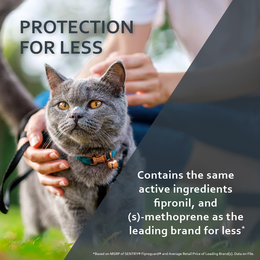 Sentry Fiproguard Plus para gatos, aplicaciones tópicas impermeables para protección mensual.