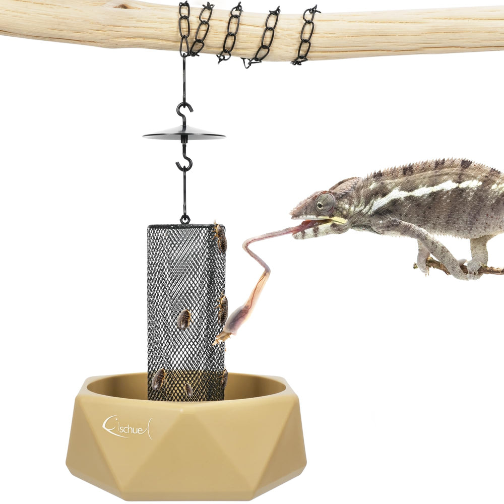 Fischuel tazón de alimentación para camaleón, evita escapes durante la comida.