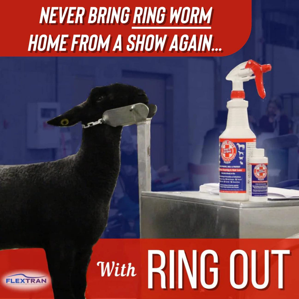 Aplicación fácil de FlexTran en piel delicada de perros y gatos.