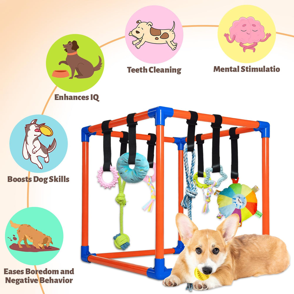 Juguetes interactivos Flickzy, estímulos multisensoriales para cachorro.