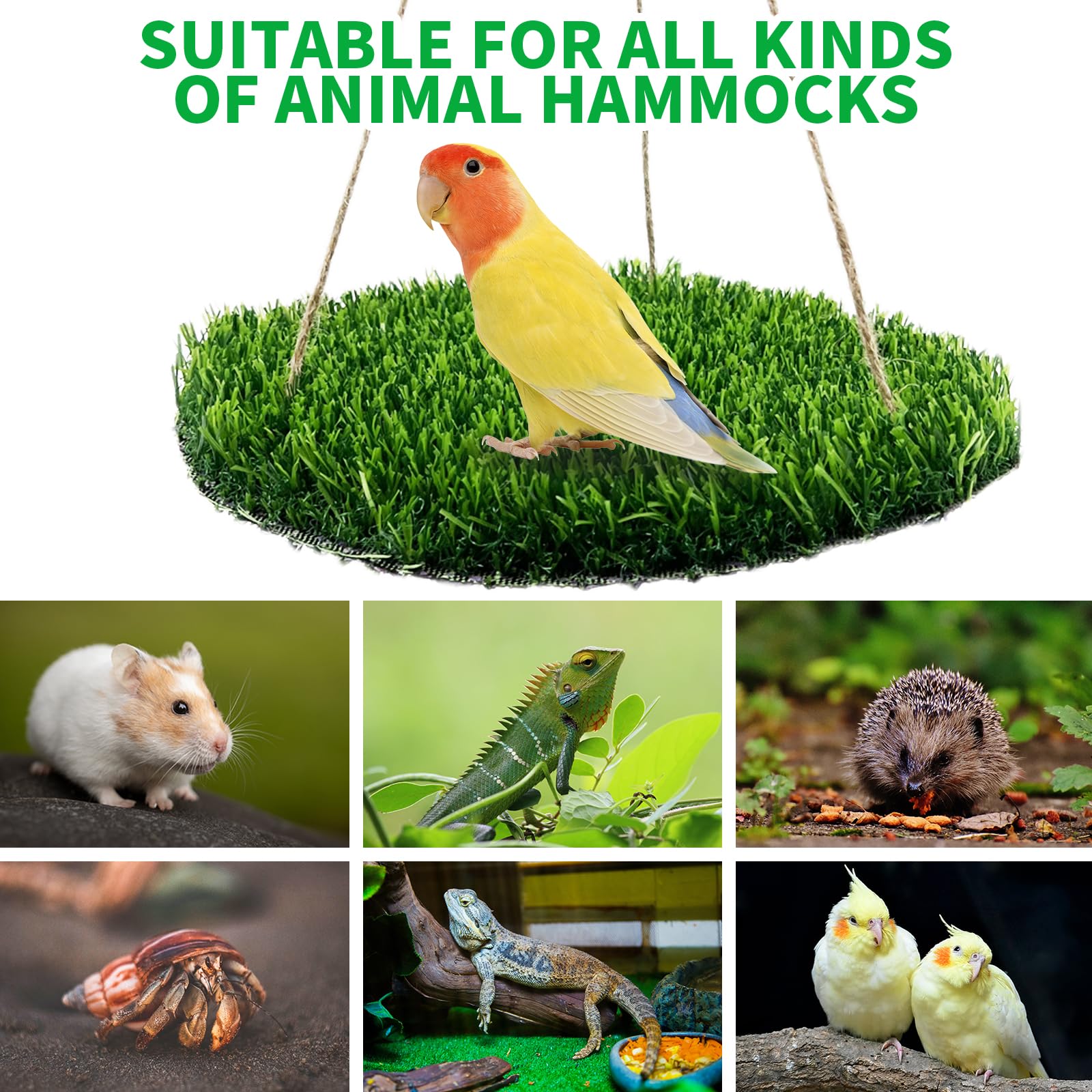 FlidRunest Plataforma de descanso para aves pequeñas, cómodo y versátil