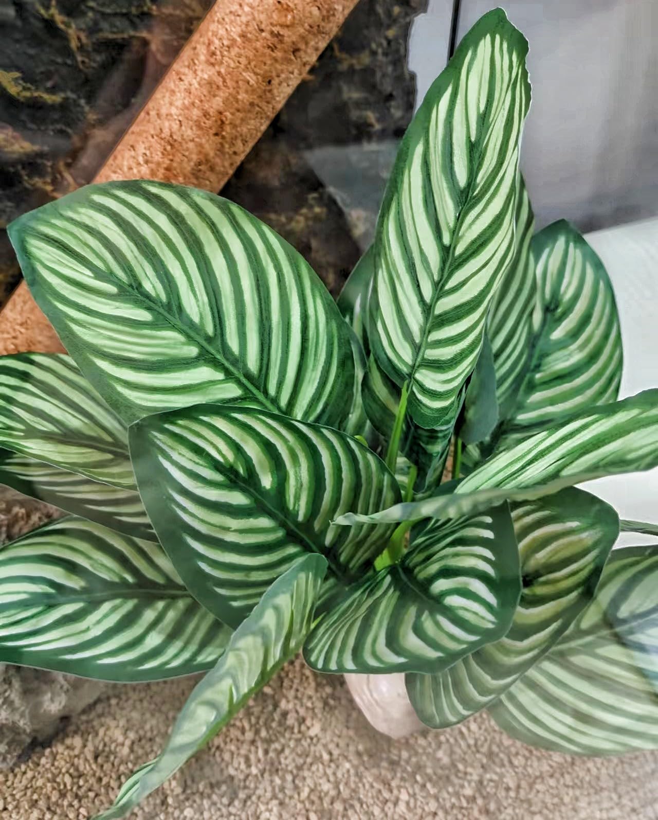 FLmoving planta artificial sin riego ni luz para terrarios