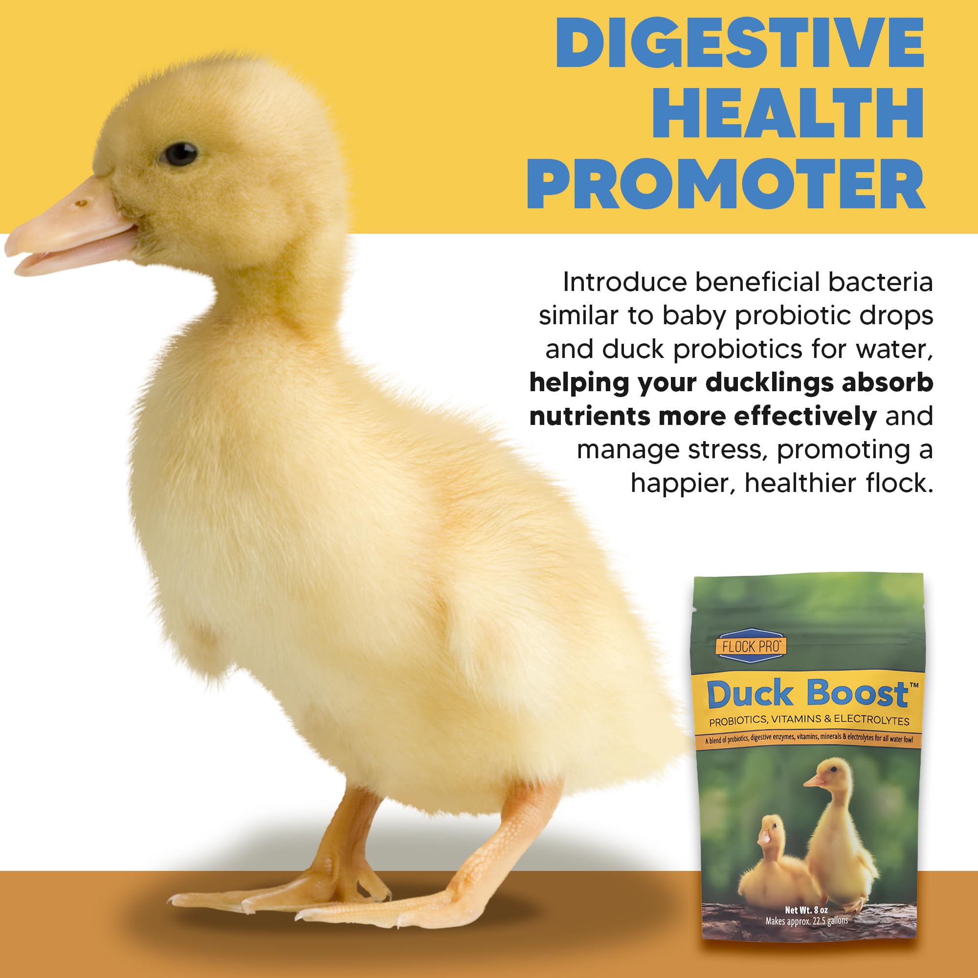 Duck Boost en polvo disolviéndose en agua para crías.