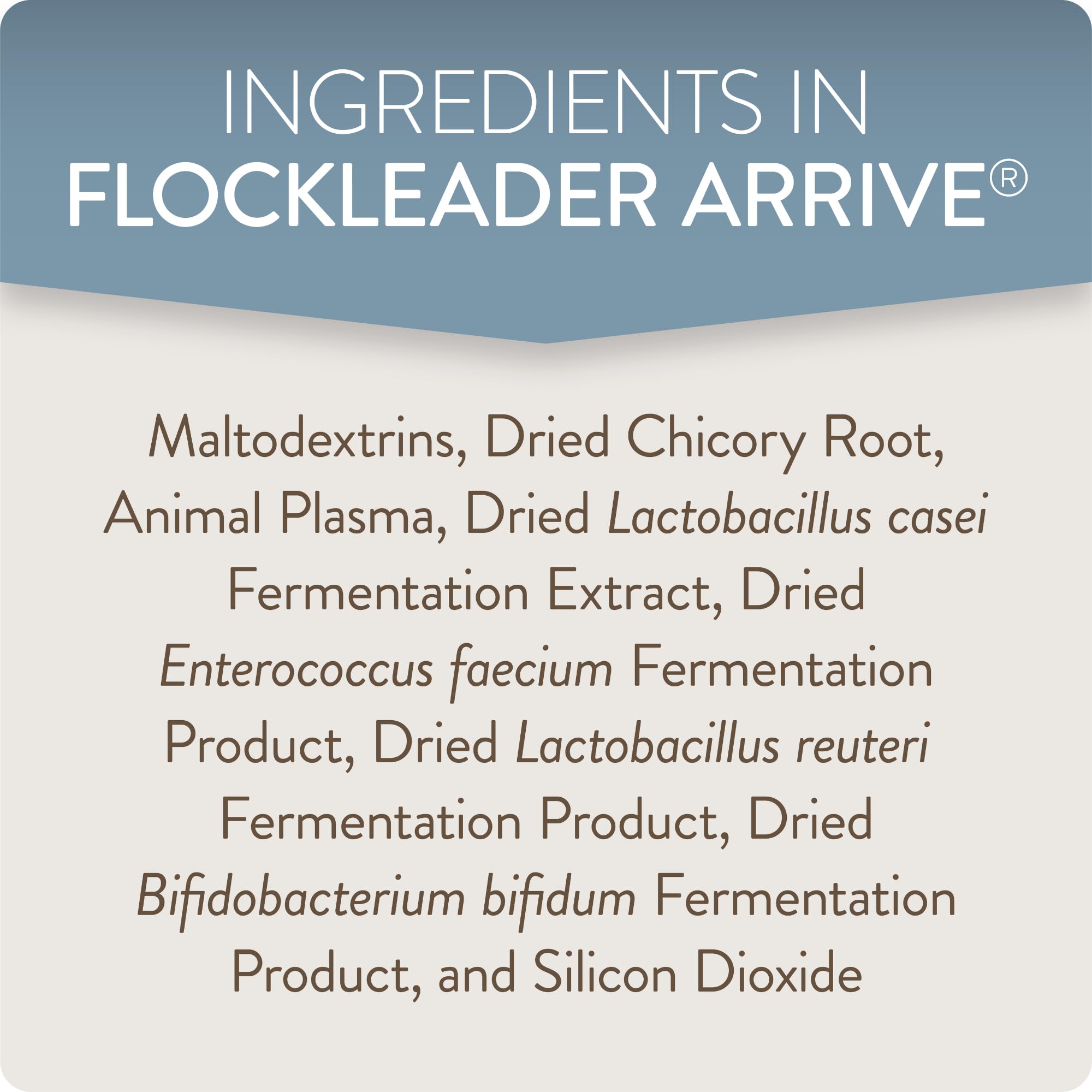 FLOCKLEADER Arrive uso diario, fácil administración para pollitos.
