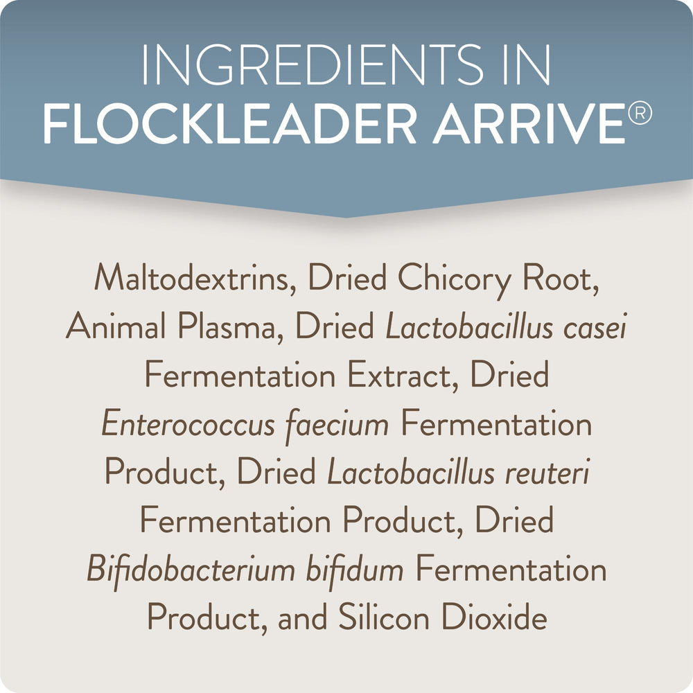 FLOCKLEADER Arrive uso diario, fácil administración para pollitos.