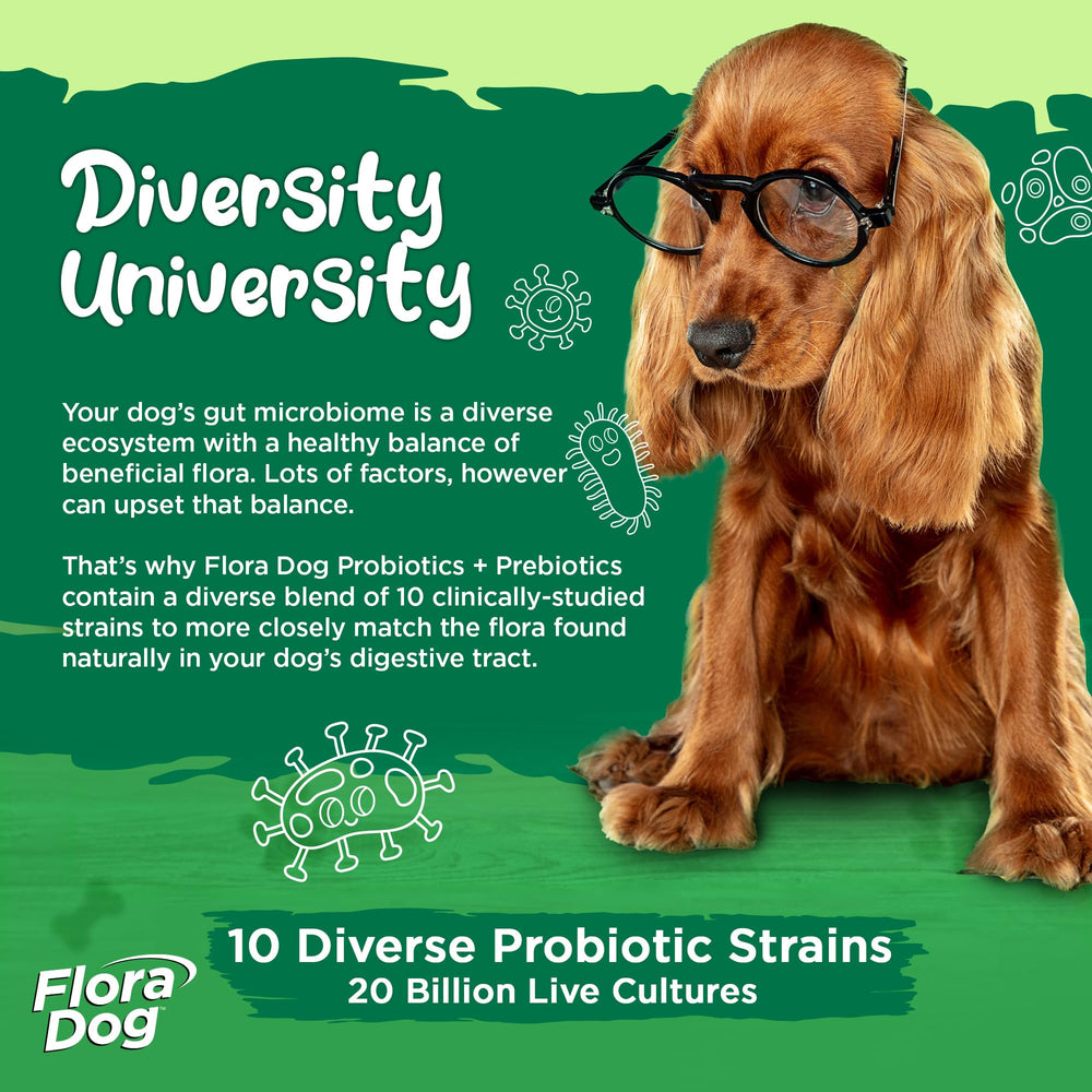 Vital Planet Flora Dog con 10 cepas mejora la diversidad intestinal canina.