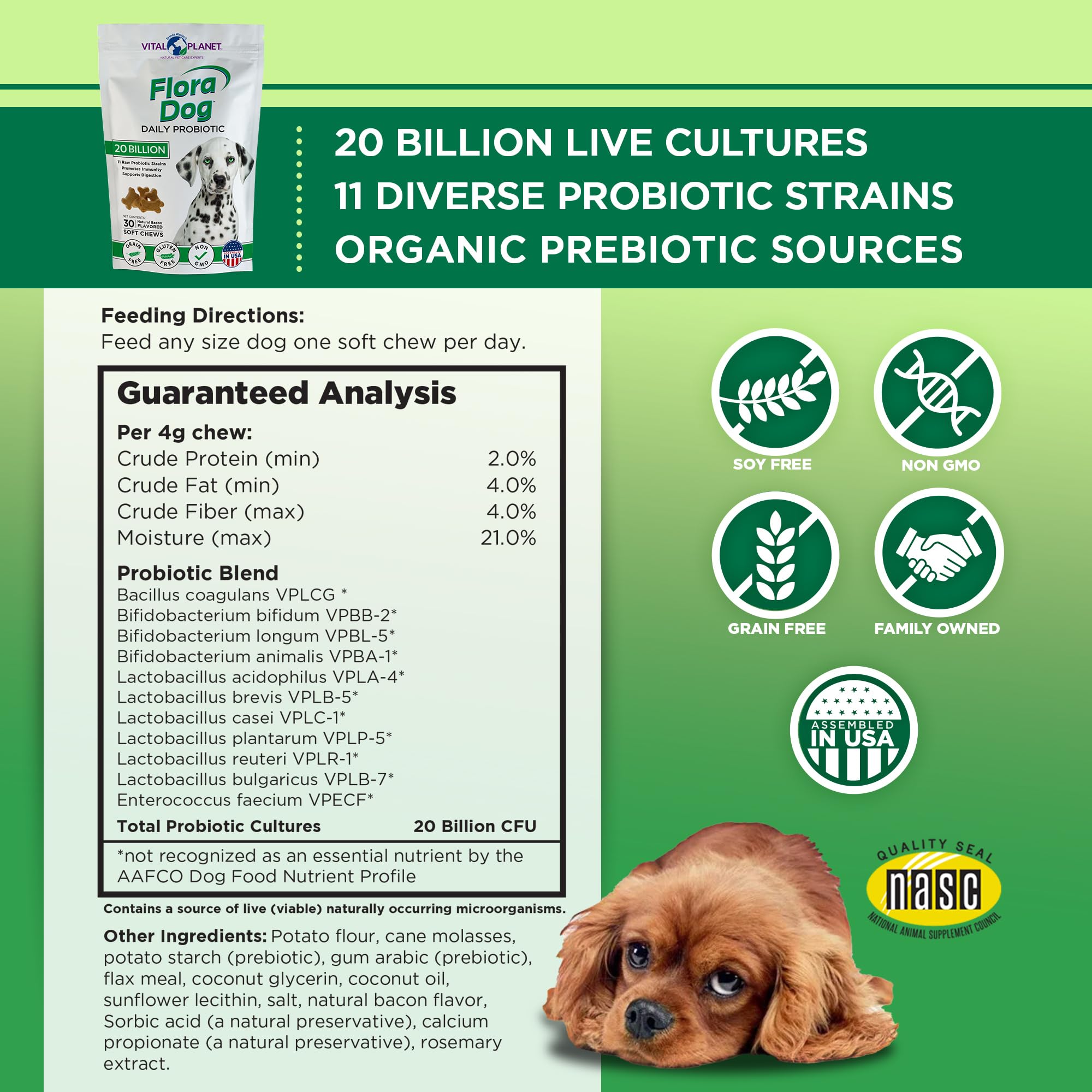 Polvo sin sabor Flora Dog Probióticos espolvoreado sobre comida