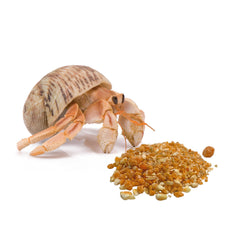 Florida Marine Research SFM00007: variedad de frutas y verduras