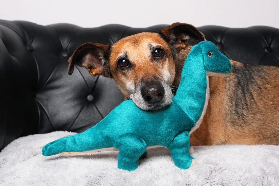 Fluff & Tuff Ross Brachiosaurus teal, tamaño 14 pulgadas ideal para perros medianos.
