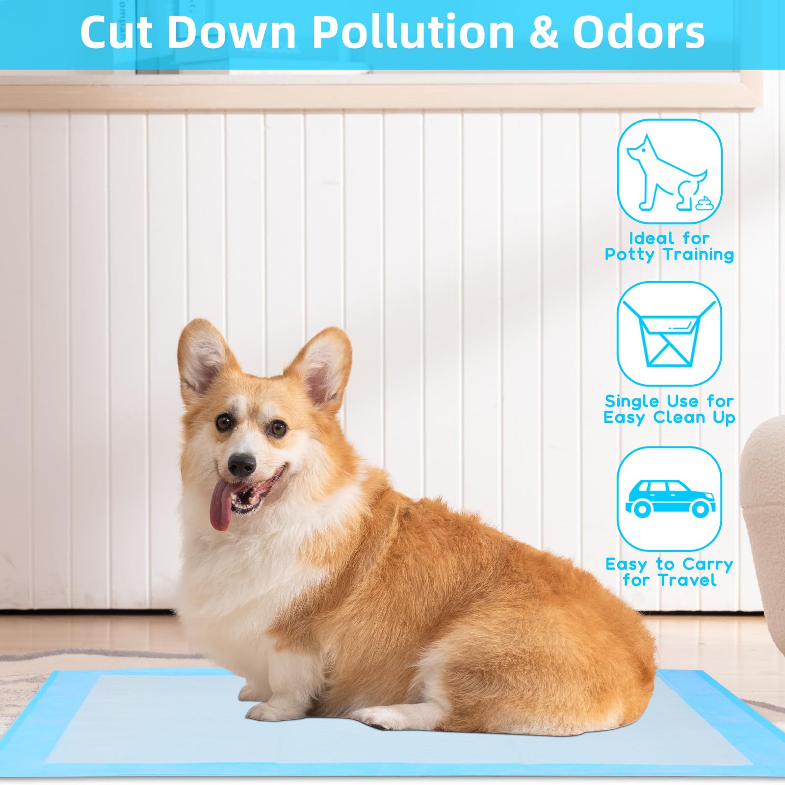 FluffyDream: almohadilla de 5 capas con alta absorción para entrenamiento diario.