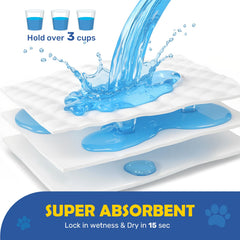 Attirant intégré FluffyDream guide le chien vers le tapis lors du dressage.