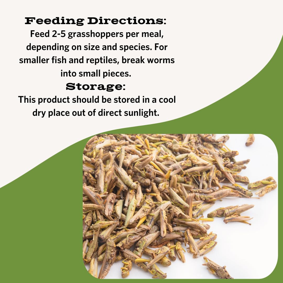 Fluker's alimento para reptiles en formato liofilizado, listo para alimentar.