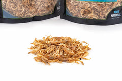 Fluker's Grub Bag Uso Fácil ofrece bolsa con cierre hermético para alimentar reptiles.