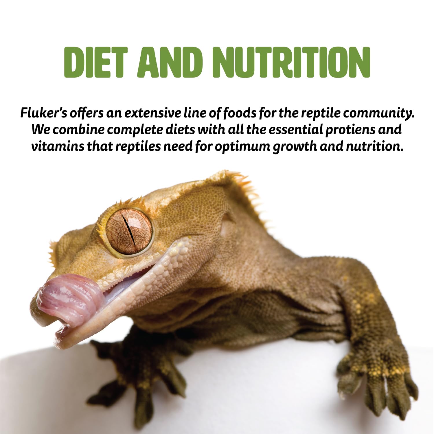 Fluker's Buffet Blend tortugas calcio y crecimiento del caparazón con dieta equilibrada.