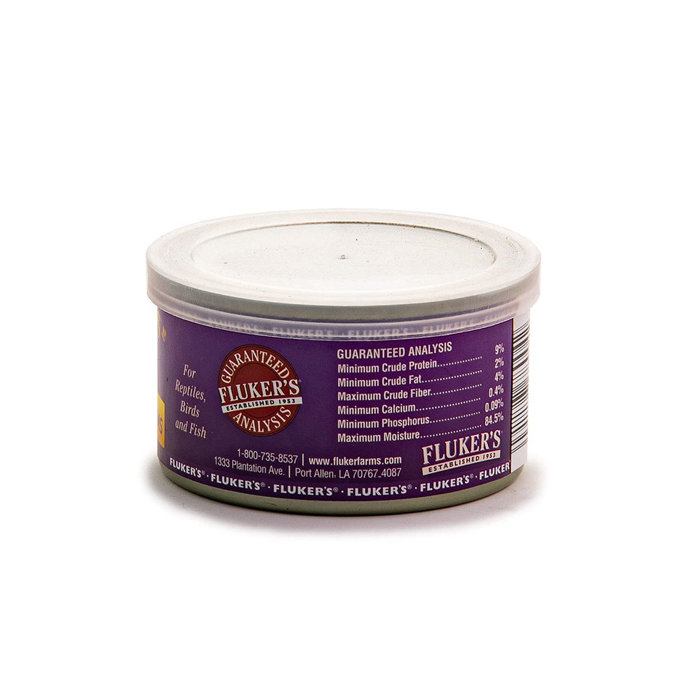 Fluker's Gourmet gusano soldado en terrario, porción ideal para alimentación diaria.