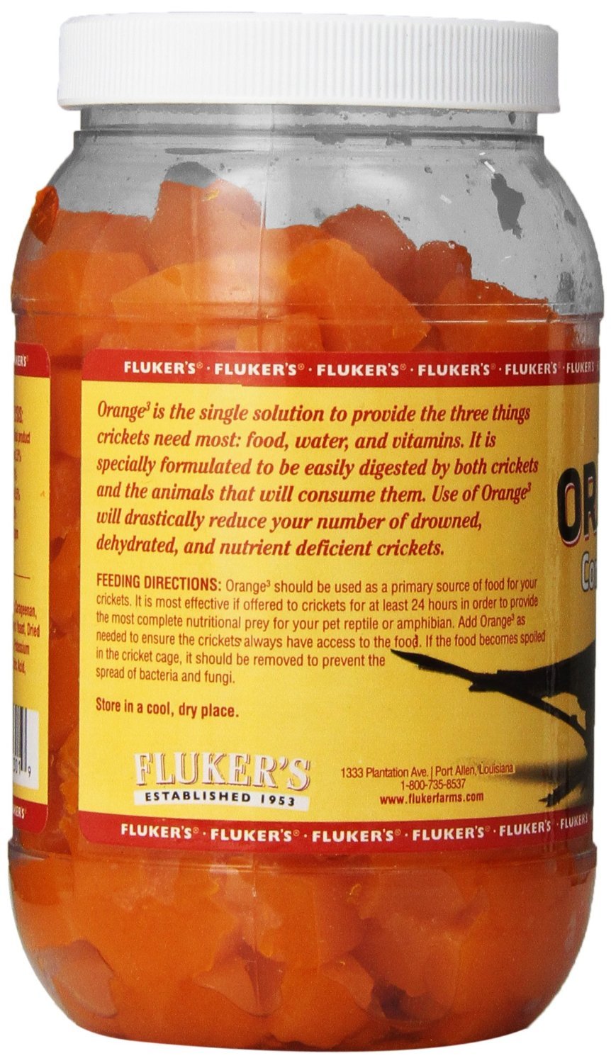 Fluker's Cubo Naranja para insectos, digestión eficiente