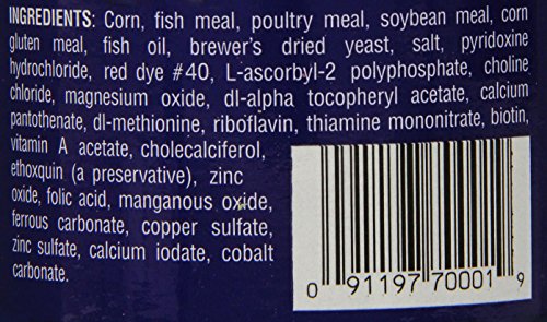 Fluker's pellets-dieta-tortugas-agua-flotantes-uso-diario: alimentación diaria sin esfuerzo.