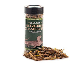 Fluker's saltamontes secos con tapa hermética para alimentación segura de tu mascota.