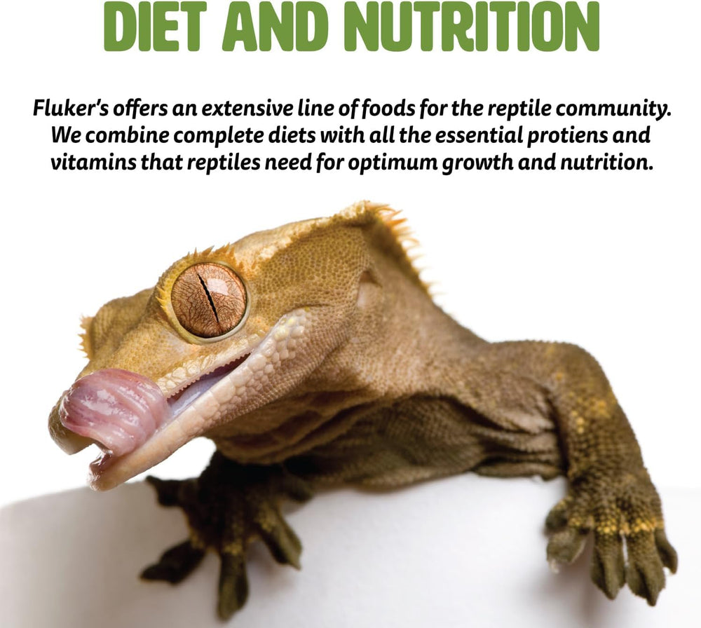 Fluker's colores-texturas que inspiran curiosidad del reptil.