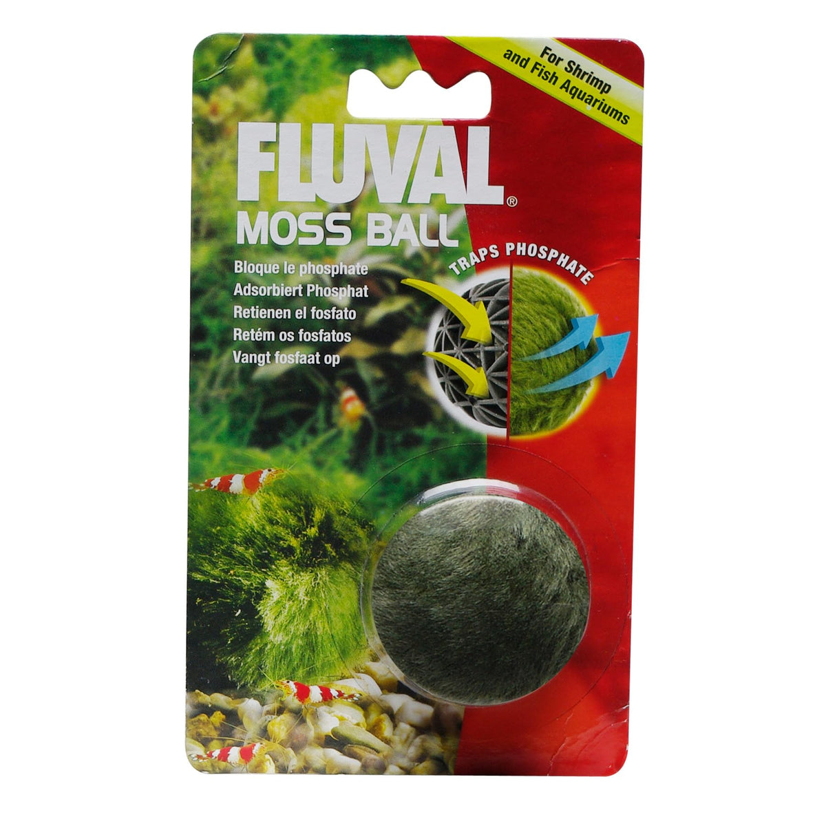 Fluval bola de musgo artificial, mejora condiciones del acuario para peces y camarones.